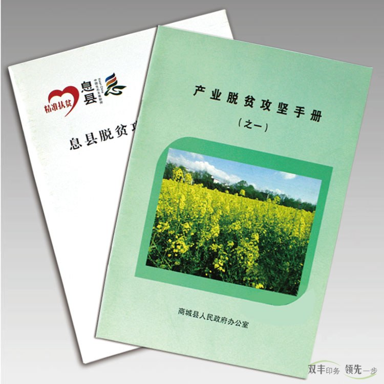 脫貧攻堅(jiān)手冊